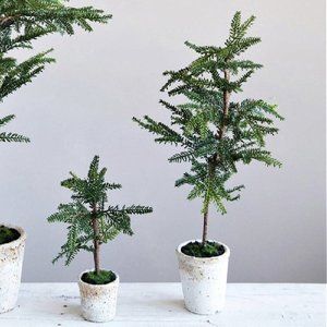 Pine Trees in Cement Pots - Set of Two from Vintage Farmhouse Finds